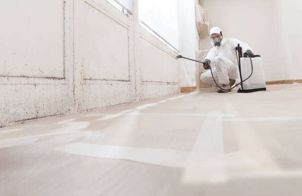 24/7 Emergency Basement Mold Remediation experts in Bethpage, NY